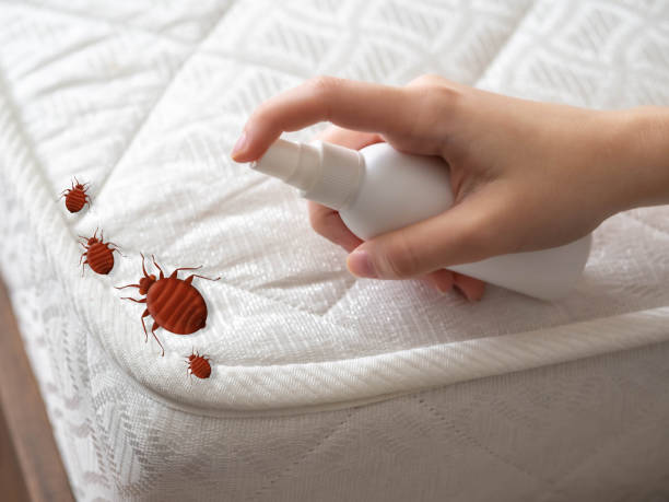 Best Emergency Pest Control  in Ocilla, GA